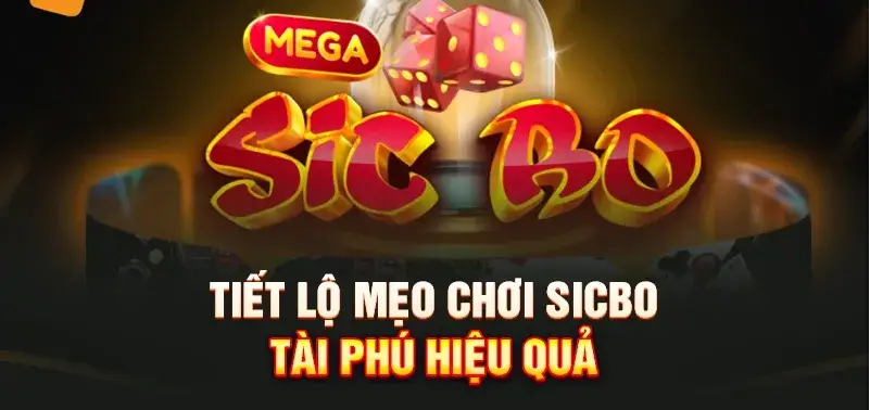 Sicbo Tài Phú Vnd88 Khám Phá Thế Giới Cá Cược Hấp Dẫn